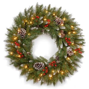 Frosted Berry 24 in. Artificial Wreath with Clear Lights