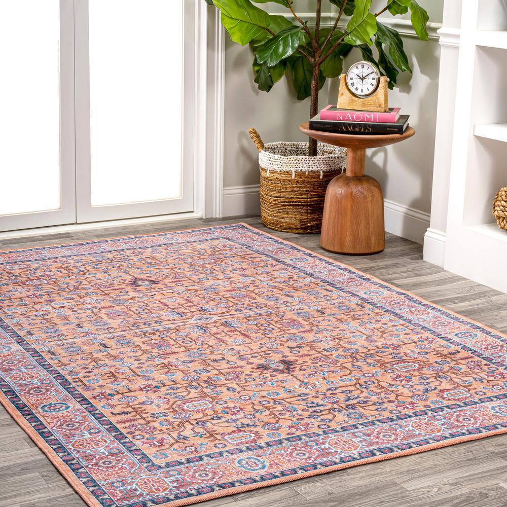 Kemer Multi-Color Persian Washable Synthetic Area Rug