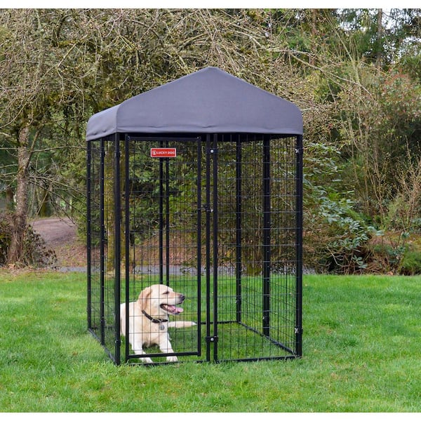 Lucky Dog Stay Series Steel Grey Studio Kennel (4ft. x 4ft. x 6ft.)