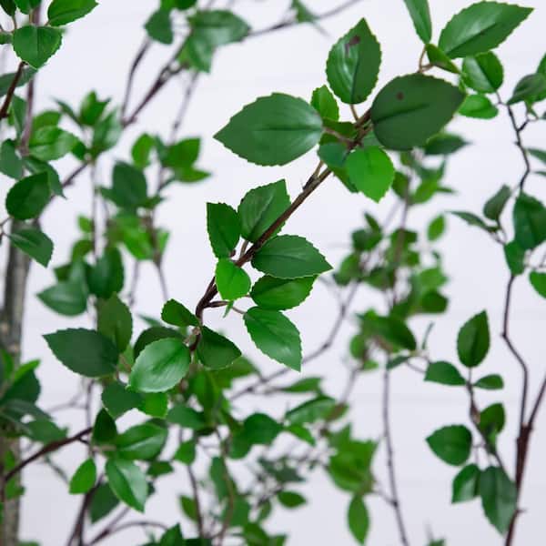 Nearly Natural 10 ft. Minimalist Citrus Artificial Tree T4981