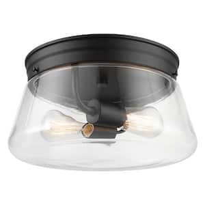 Aleyna 2-Light Matte Black Outdoor/Indoor Flush Mount Light with Clear Glass Shade