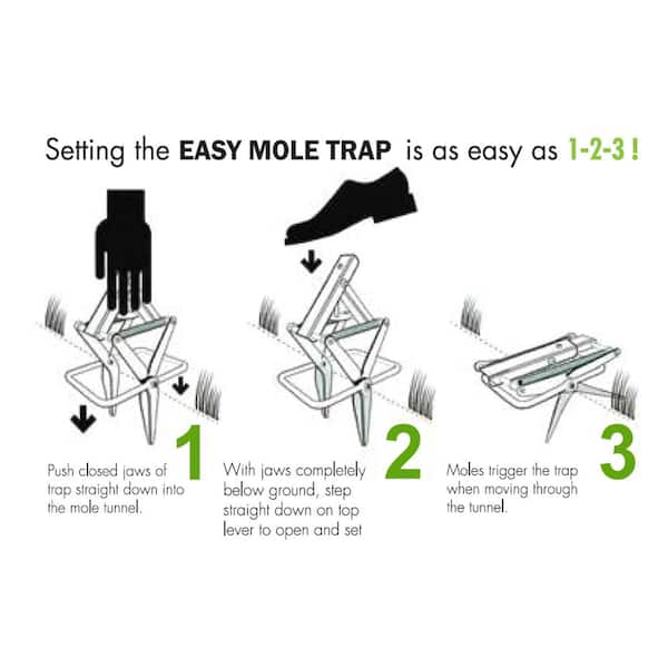 Mole Trap, Innovative and Effective Mole Remover Trap Kills without Drawing  Blood, Reusable and Hands-Free, 2 Traps