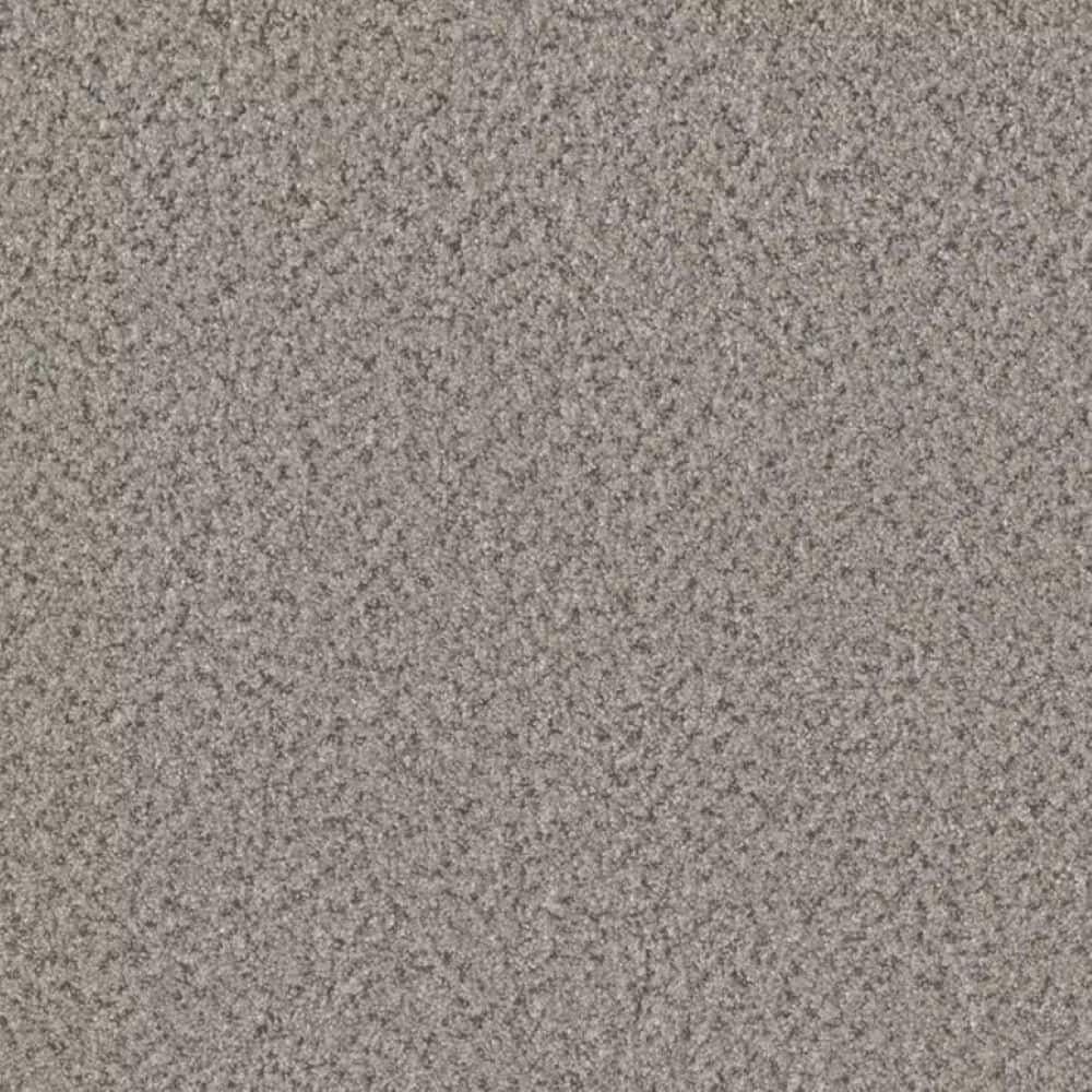 8 in. x 8 in. Texture Carpet Sample-Manuscript I-Color Theme price history on PriceWatchPro