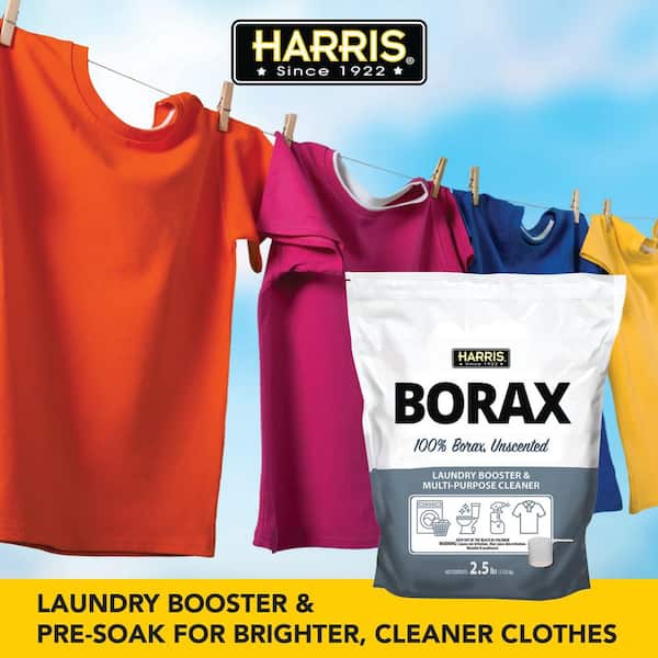 Borax Powder (sodium tetraborate) - 100% Pure Multi-Purpose Cleaner 2 Lb.  Bag 