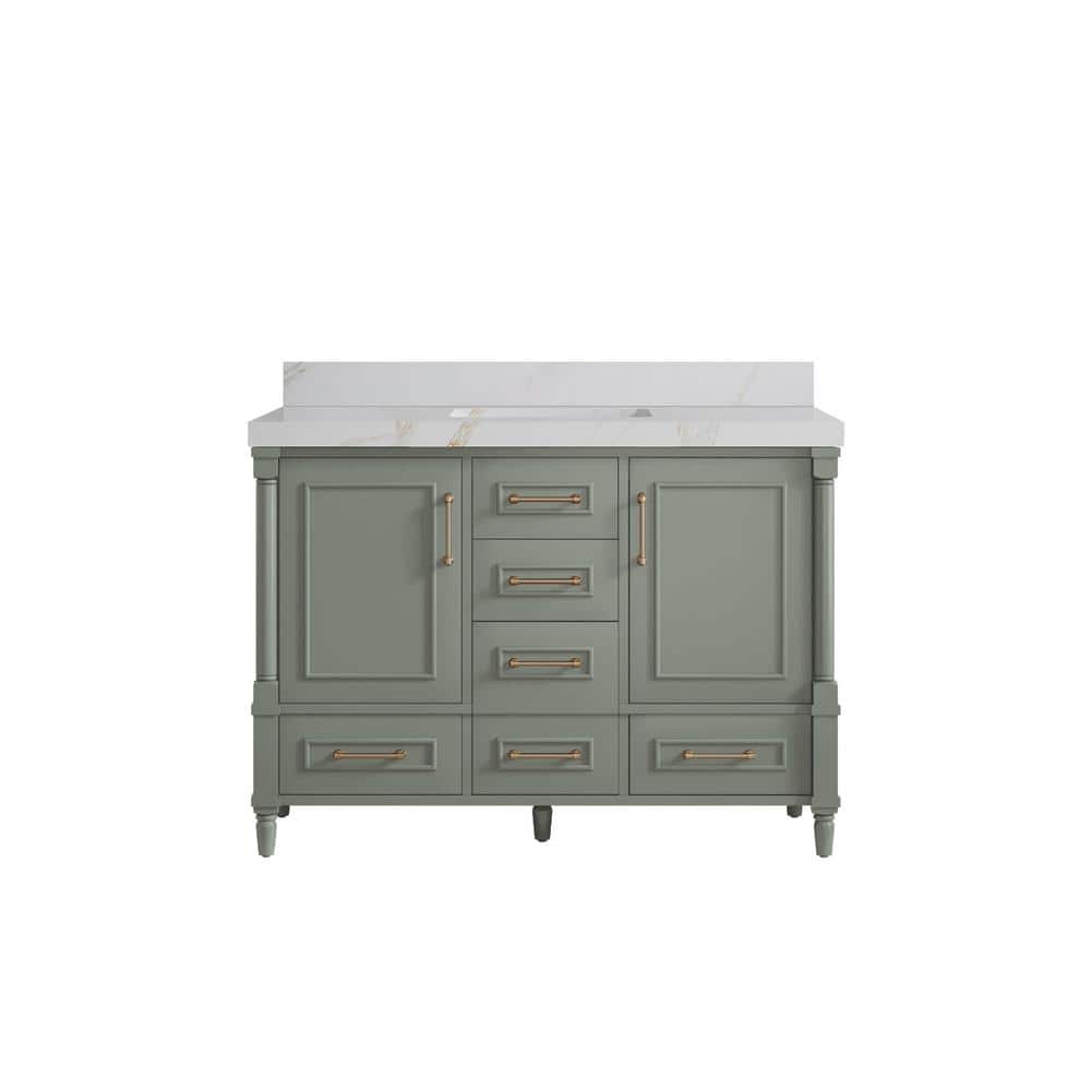 Hudson 48 in. W x 22 in. D x 36 in. H Single Sink Bath Vanity in Evergreen with 2 in. Calacatta Sienna Quartz Top price history on PriceWatchPro
