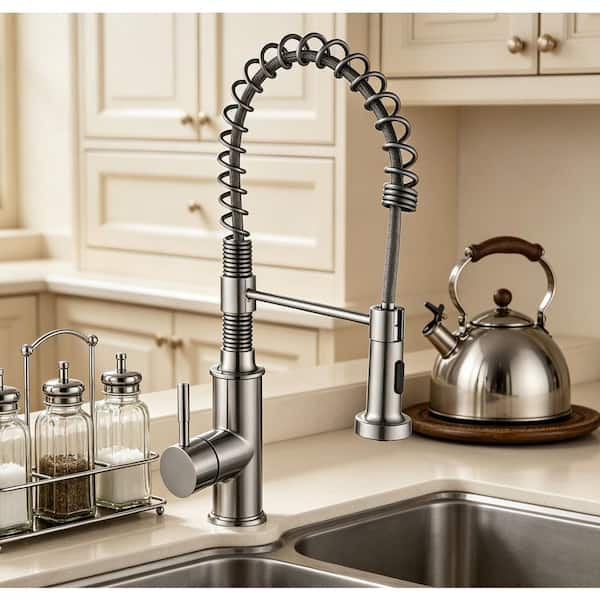 Satico 22 in Single-Handle 360 ° Spout Swivel Standard Kitchen