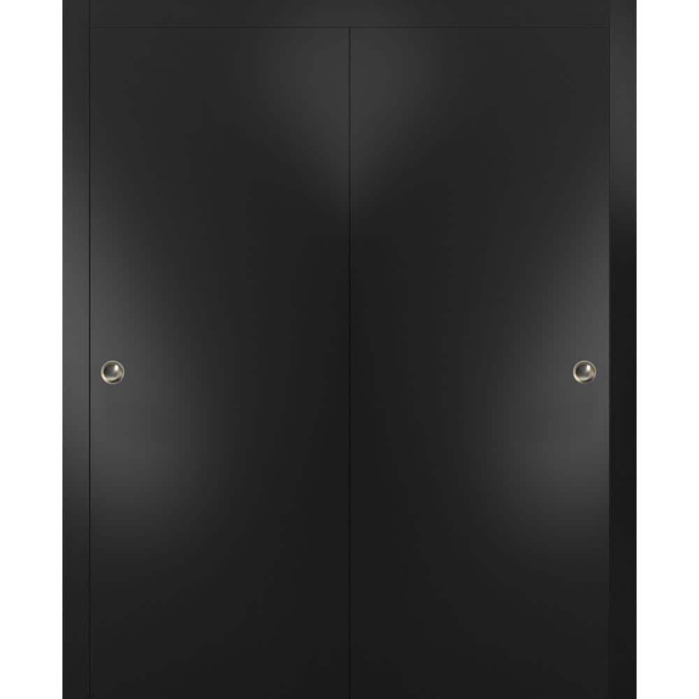 Planum 0010 48 in. x 80 in. Flush Black Finished Wood Sliding Door with Closet Bypass Hardware price history on PriceWatchPro