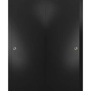 Planum 0010 48 in. x 96 in. Flush Black Finished Wood Sliding Door with Closet Bypass Hardware