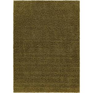 Tacoma Enchanting Modern Solid Pistachio 5 ft. x 7 ft. Area Rug