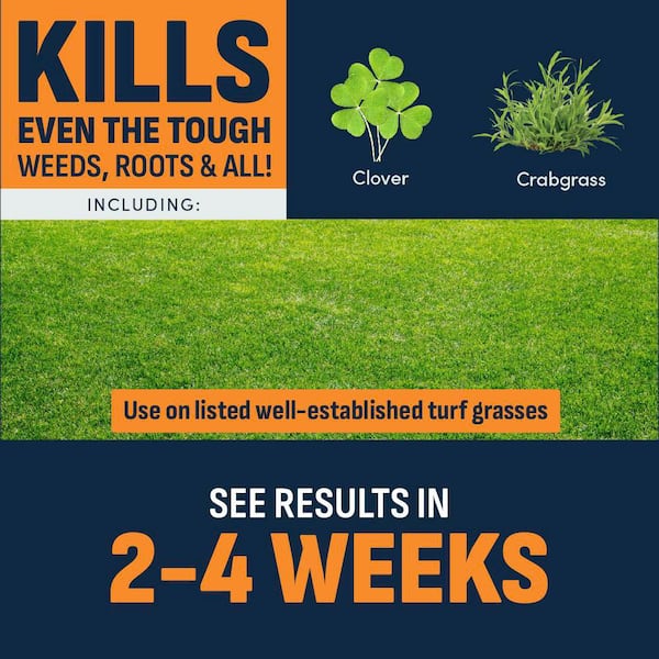 32 oz. 4,000 sq. ft. Lawn Weed and Crabgrass Killer Ready-To-Spray for 200-Plus Weed Types