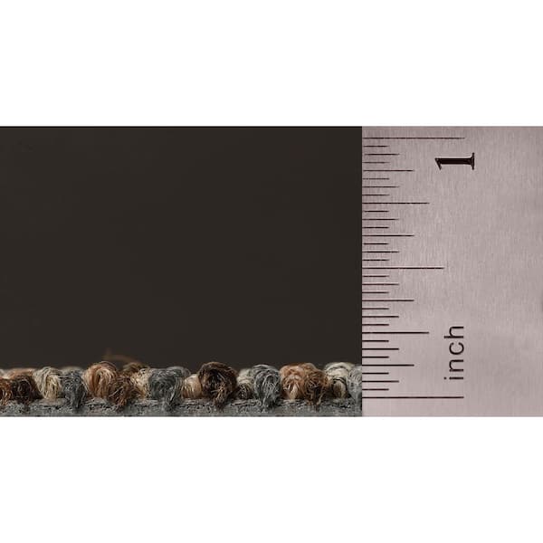 Advance Single-Urgent Report-Brown Com/Res 24 in. x 24 in. Glue-Down Carpet Tile Plank W/Cushion 1 Tiles/Case 1 sq. ft.
