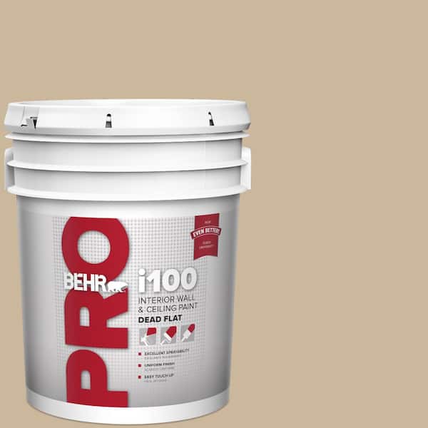 5 gal. #MQ2-21 Elemental Tan Dead Flat Interior Paint