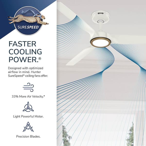 Hunter Hunter 52 in. Zentech Wi-Fi Energy Star Fresh White Damp