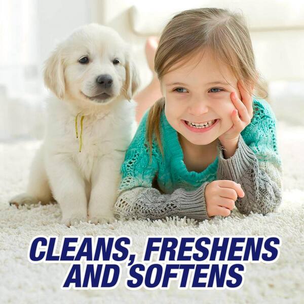 Resolve 22 Oz High Traffic Foam Carpet Cleaner 6 Pack 19200 00706 The