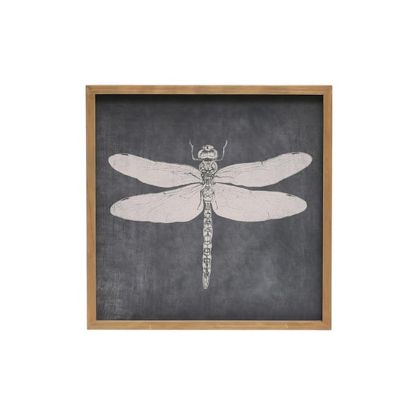 Storied Home 1-Piece Framed Graphic Print Dragonfly Animal Art Print 15.62 in. x 15.62 in.