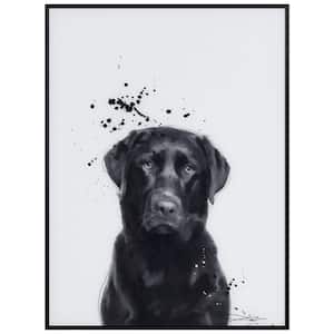 "Labrador Retriever" Black and White Pet Paintings on Printed Glass Encased with a Gunmetal Anodized Frame