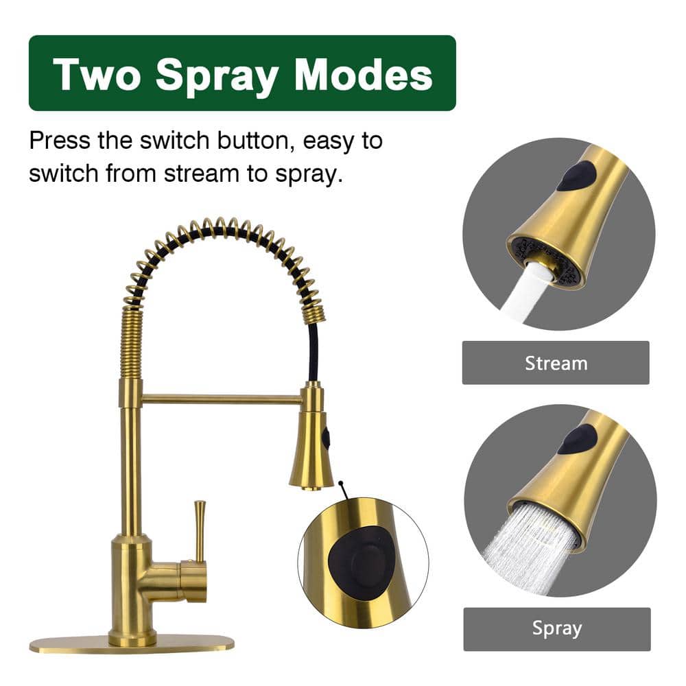 Brass Gold Single Handle Pull-Down Kitchen Faucet with Spray