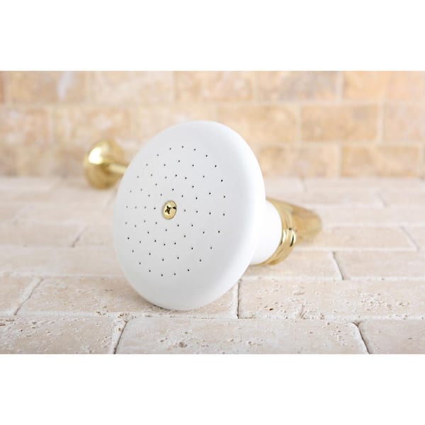 1-Spray 5.1 in. Single Wall Mount Fixed Rain Shower Head in Polished Brass