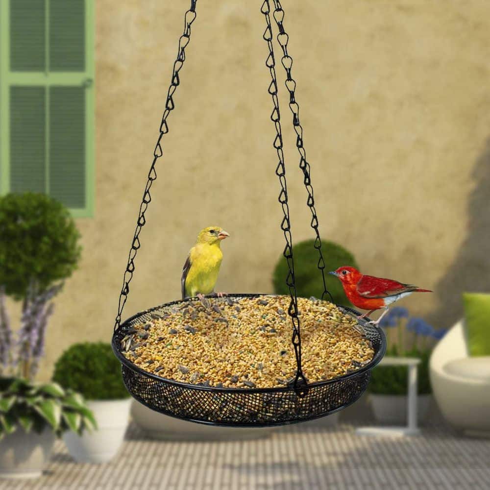 Black Metal Hanging Bird Feeder Tray with Chain