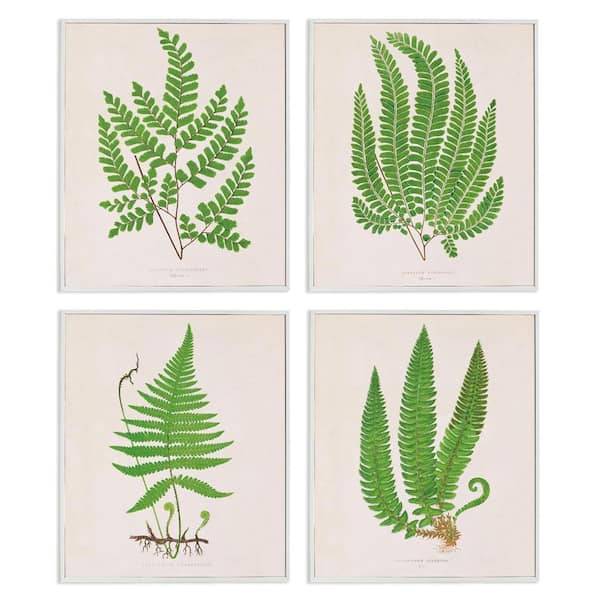 Subtle Green Fern Branches by Phillipa Katz 4 Piece White Framed Nature Giclee Art Print 20 in. x 16 in.