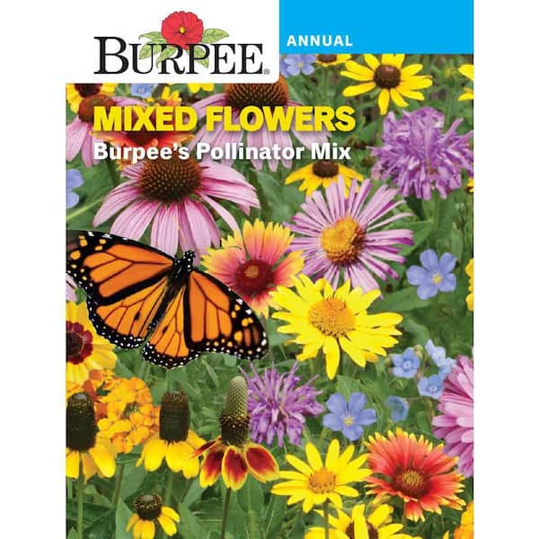 Mixed Flowers Pollinator Mix Flower Seed