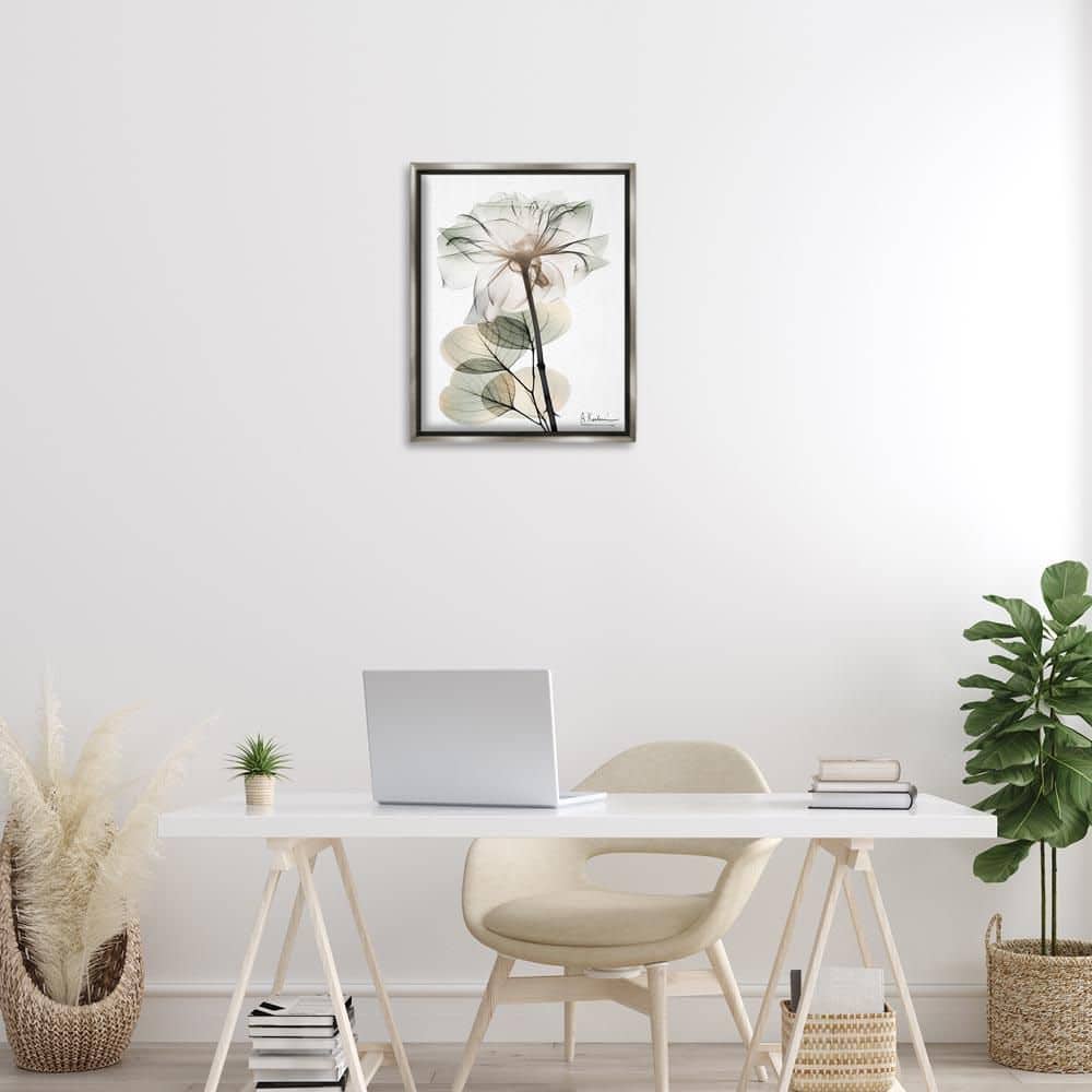 Modern Minimalist Buds by Albert Koetsier Gray Floater Frame Nature Graphic Art Print 21 in. x 17 in. price history on PriceWatchPro