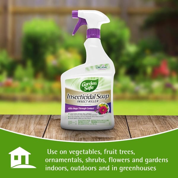Plant Spray Bottle for Insects (16oz) by Kate's Garden. Garden Plant Care  Peppermint Oil Spray for Bugs, Fungus Gnat. Insecticide for Fruit Flies