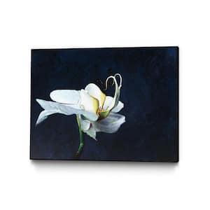 28 in. x 22 in. "Phalaenopsis Blanc" by Jocelyne Maucotel Framed Wall Art