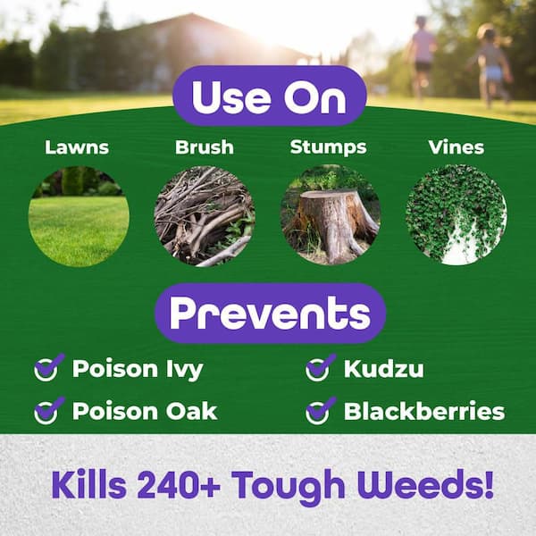 Poison Ivy and Brush Killer BK-32, 16 oz Concentrate, Safe for Lawn, Kills Poison Ivy, Poison Oak and Weeds