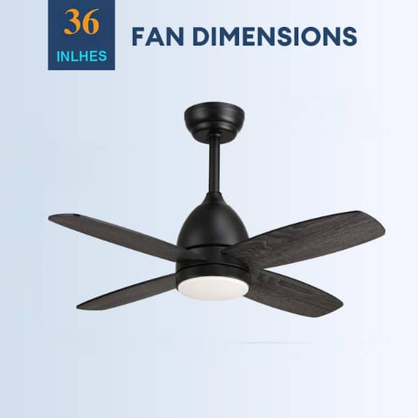 WDETR 36 in. Modern Indoor Traditional Short Fan Blade Black Ceiling Fan with Light and Remote for Bedroom Dining Room