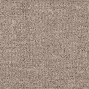 8 in. x 8 in. Pattern Carpet Sample - Wheatfield - Color Abalone