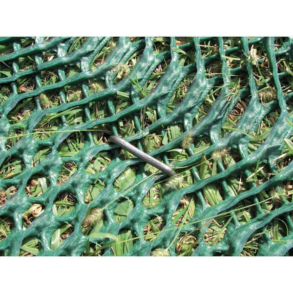 Tenax Tr, gazonnet, voorkomt dat de hond gaten in de tuin graaft, groen, 1 x 5 m