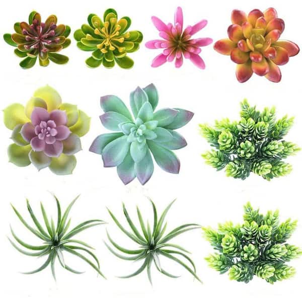 5.51 in. 24 Pack Artificial Succulents for Indoor and Outdoor Decoration  LINBQ326 - The Home Depot