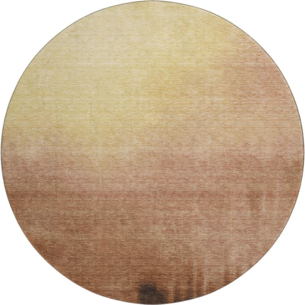 Mayfield Premium Machine Washable Abstract AMF2420 Rust 8 ft. x 8 ft. Round Rug price history on PriceWatchPro