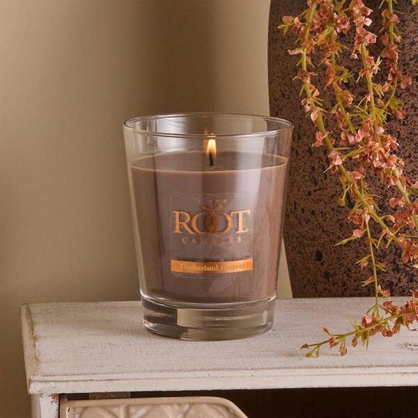 ROOT CANDLES Veriglass Timberland Retreat Brown Scented Jar Candle