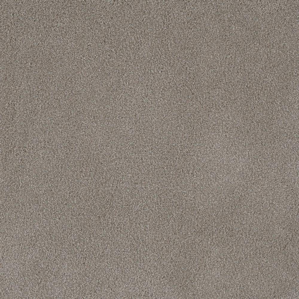 8 in. x 8 in. Texture Carpet Sample - First Class II -Color Garden price history on PriceWatchPro