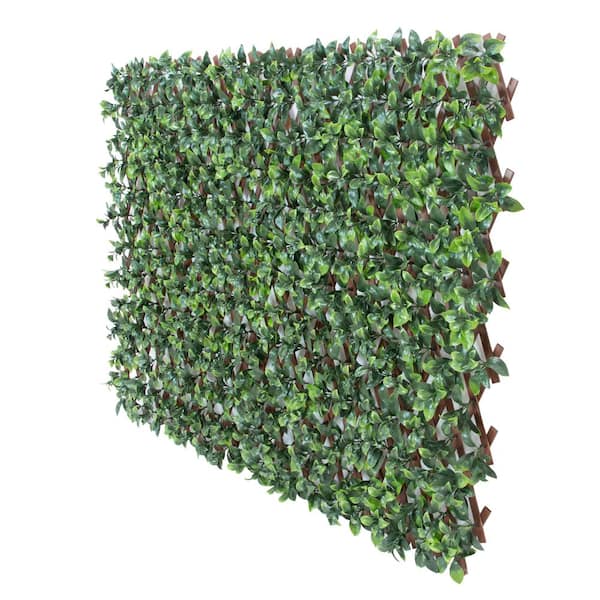 CREATIVE SURFACES Gardenia 34 in. x 76 in. Expandable Trellis (1-Pack)