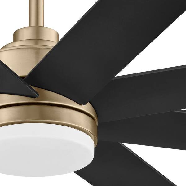 New Celene 62 inch ceiling fan discount