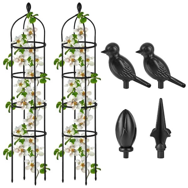 .N/A 6 ft. Rustproof Metal Garden Obelisk Trellis Climbing Plant Support for Pots Clematis Vine Jasmine 2-Pack