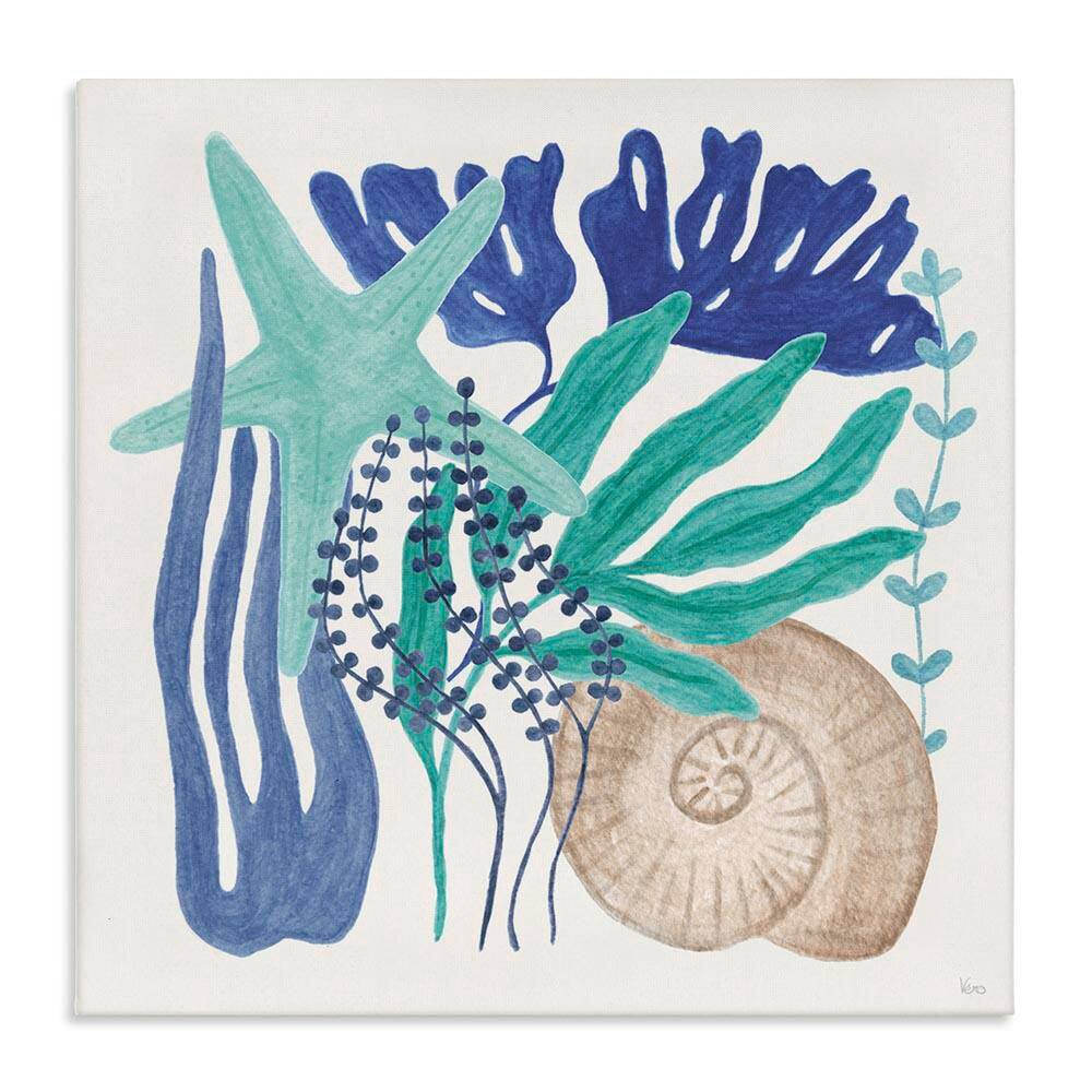 Layered Coastal Shells by Veronique Charron Unframed Coastal Graphic Art Print 30 in. x 30 in. price history on PriceWatchPro