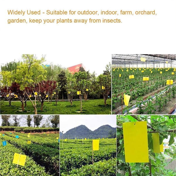 Details about   20PC Dual-Sided Yellow Sticky Traps Flying Plant Insect Fungus Gnats Whiteflies 