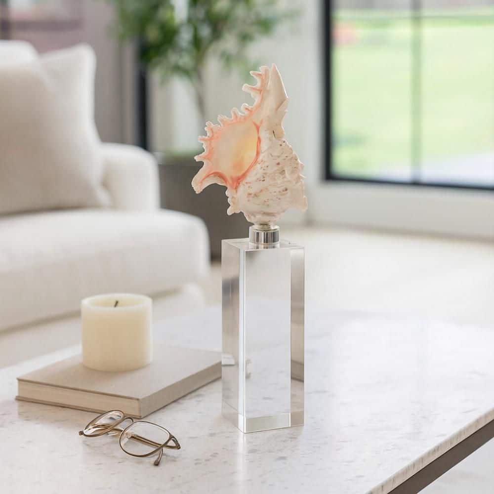 Liv & Skye Ivory/Clear 3 in. x 10 in. Glass Decorative Shell