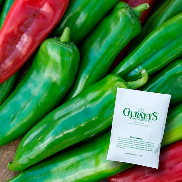Hot Pepper Anaheim 118 Hybrid Seed (15-Pack)