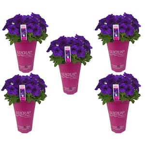 4.5 qt. Wave Petunia Annual Plant with Blue Flowers (5-Pack)