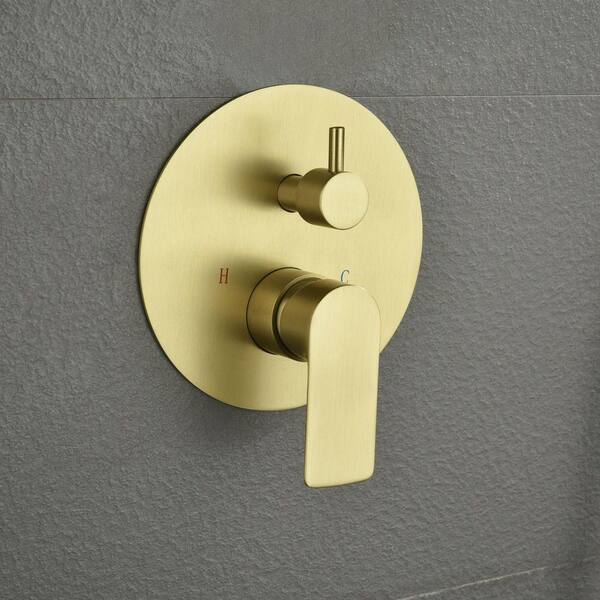 waterpar Single-Handle Wall Mount 2-Spray Round Dual Fixed and