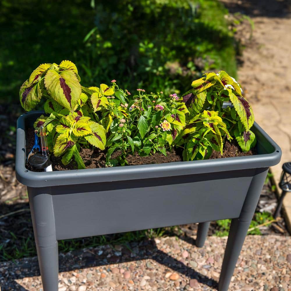 Gray Plastic Self-Watering Raised Garden Bed with Cloche Cover