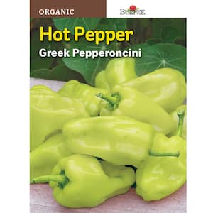 Organic Pepper Hot Pepperoncini Greek Seed