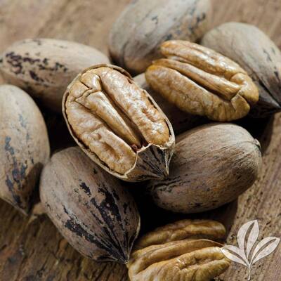 Fruit Trees Trees The Home Depot