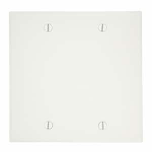 2-Gang White Blank Plate Nylon Standard Wall Plate (1-Pack) 80725-W