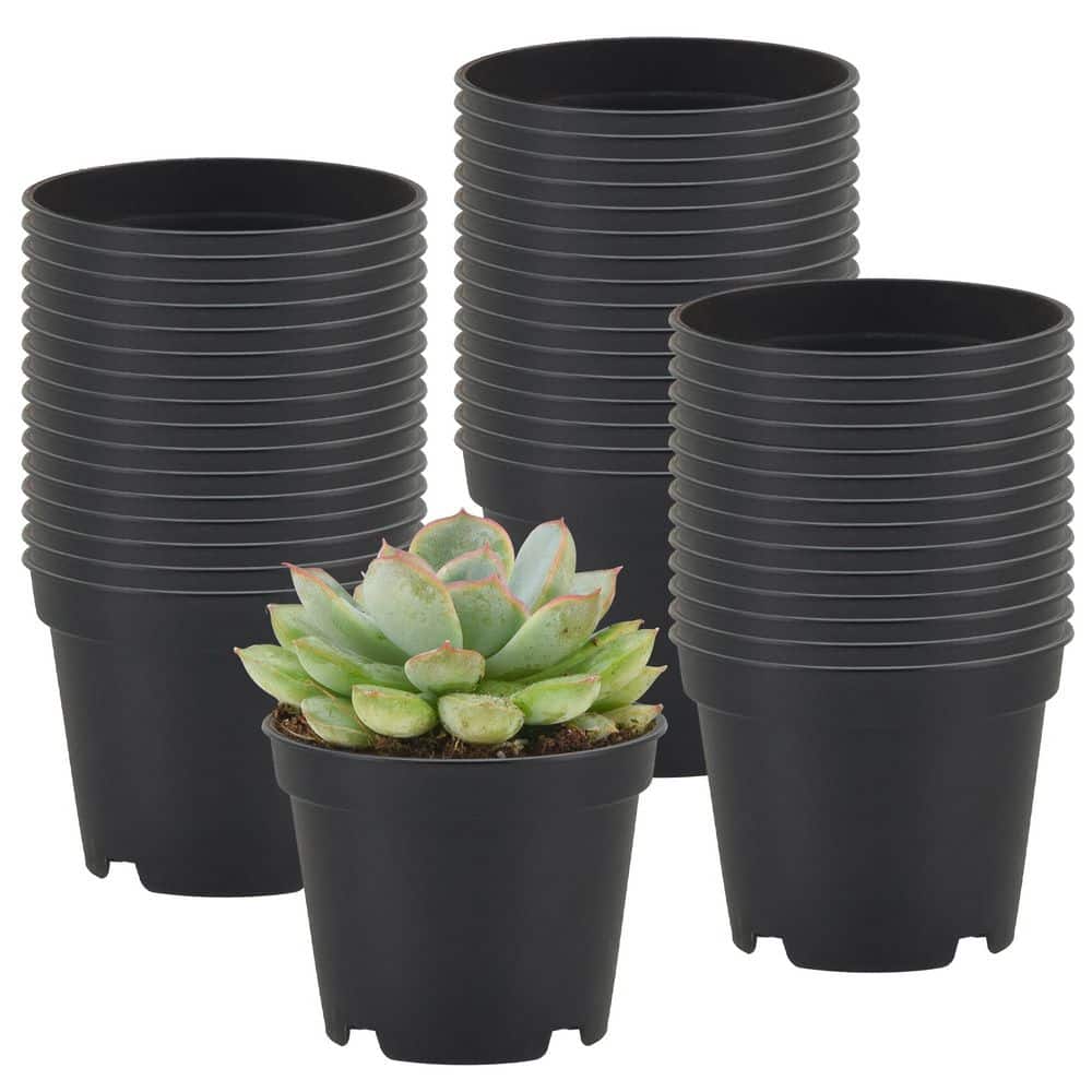Arcadia Garden Products 2 in. Black Plastic Standard Grow Pot (250